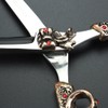 5.5 Inch High-End Hairdressing Scissors Set Hair Stylists Professional Barber