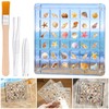 Seashell Display Box – 36 Grid Clear Acrylic Shell Holder