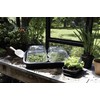 Elho green basics grow tray m accessory - living black
