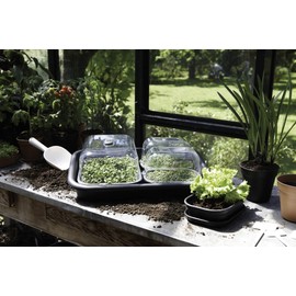 Elho green basics grow tray m accessory - living black