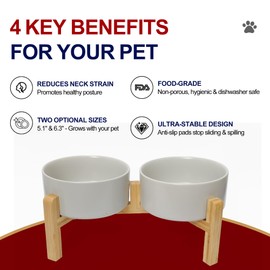 OniAnt Elevated Ceramic Dog Bowls - Double Raised Pet Feeder with Wooden Stand - 30.4oz Food Water Bowls for Medium Dogs & Cats - Non-Slip Pet Dishes Dishwasher Safe - 3.7 Cups - Grey