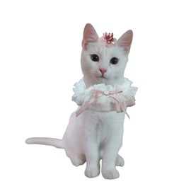 Mokburrim Dog and Cat Birthday Supplies Crown Hat and Bandana Bib Set Cute Princess Costume Party Wedding Holiday Reusable Decoration Outfit for Multi Sizes Pets(Pink)