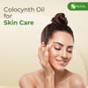 Salvia Colocynth Oil | Pure and Natural Cold-Pressed Oil |