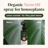 WE THE WILD Organic Protect Leaf Shine - Neem Oil