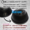 HaruDesign HASU38 Plant Grow Light, 6K Black Body, White Type