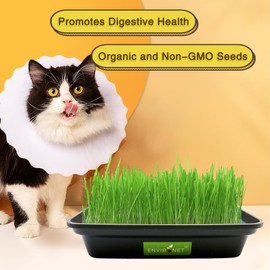 Environet Hydroponic Cat Grass for Indoor Cats | Organic Cat Grass Seeds Mix with Black Low-Top Planter | Pet Safe and Non-GMO | Natural Indoor Grass for Cats' Digestion Health