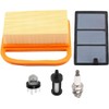 Hippotech Recoil Starter Assembly with Air Filter Tune Up Kit