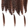 TOTSUN 40 Pcs Natural Pheasant Feathers 10-25 Cm Brown Speckled