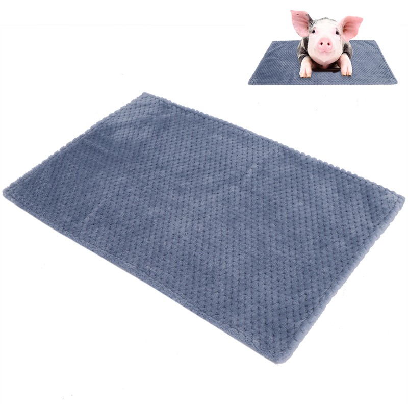 Washable Pet Blanket Winter Warm Thick Dog Throw Blanket Sleeping