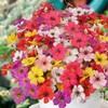 Artificial Flowers Outdoor UV Resistant Fake Silk Flowers, 12 Bundles