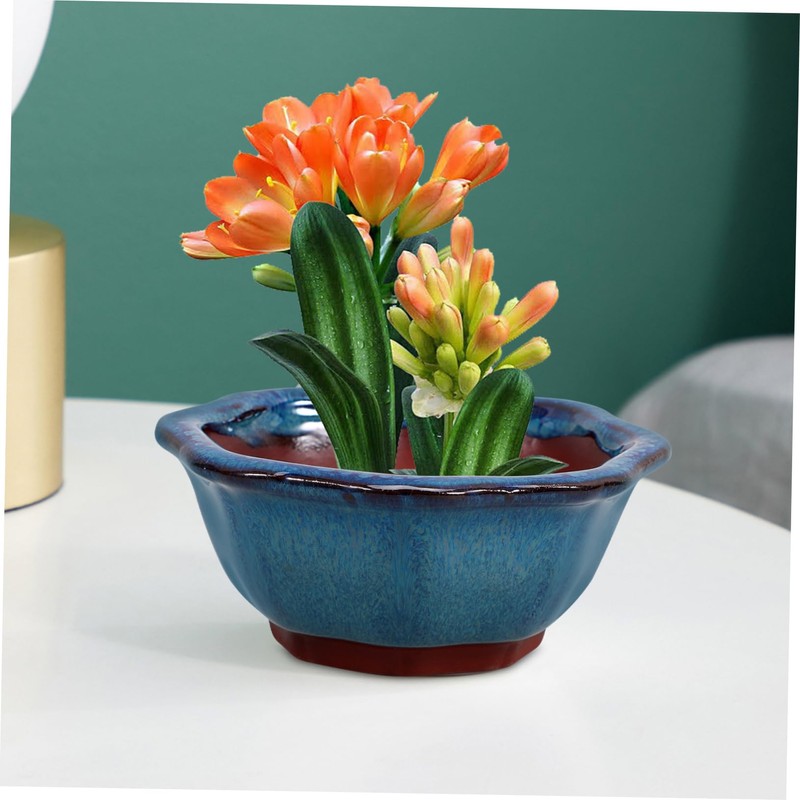 BESPORTBLE Ceramic Orchid Planter Pot Drainage Hole for Succulents Small
