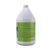 Mold Armor Mold Preventer, Disinfectant and Flood Cleanup, 1 gal.,