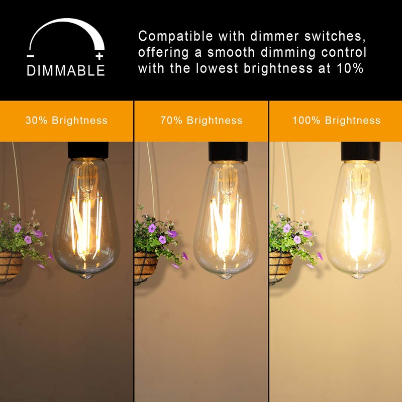 Ascher Dimmable Vintage LED Edison Bulbs, 6W, Equivalent 60W, 700