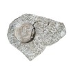 Solid Rock Stoneworks Slate Leaf Feeder/Bird Bath, Marble Tone Concrete,