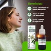 Soria Natural Passion Flower Extract, Peaceful Sleep and Deep Relaxation,