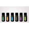 KIT 6 ACIETES ESENCIALES PUROS DE 10 ML. CU.