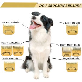 Detachable Pet Dog Grooming Clipper Ceramic Blades Set,Compatible with Andis,Oster A5,Wahl KM10 Series Clippers,Gold (3-3/4FC+4FC+5FC+7FC)