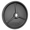 Power Extreme Weight Training Discs with Grip Recess, 51 mm,