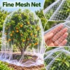 Transparent Anti-Bird Netting for Garden, Grapes, Orchard & Fishpond –