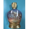 Designer Skin 2025 Divine Tanning Lotion