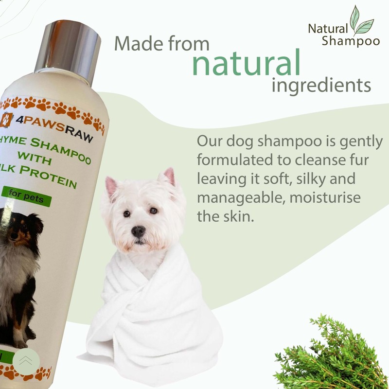 4PAWSRAW Natural Adult Dog Shampoo – Thyme with Silk Protein