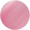 VETRO #19 Color Gel Matte Sheer VL259 Jewel Garnet 0.1