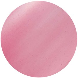 VETRO #19 Color Gel Matte Sheer VL259 Jewel Garnet 0.1 fl oz (4 ml)