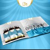 LN Bacillus Subtilis | 90 High Strength Probiotic Supplements -