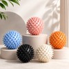 5 Pcs Spiky Massage Ball for Muscle Massage – Firm
