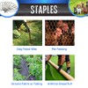 50 Steel Sod or Ground Staples for Dog Fence Installation
