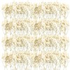 Fumete 200 Pcs Mini Dried Baby Breath Flowers Christmas Ivory