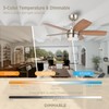 Vagizm Ceiling Fan 36'' for Small Room: Modern Ceiling Fans