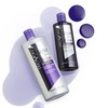 PROVOKE Touch Of Silver Colour Care Shampoo 400 ml ,