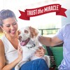Nature's Miracle Dog Stain and Odor Remover, Safe for Your