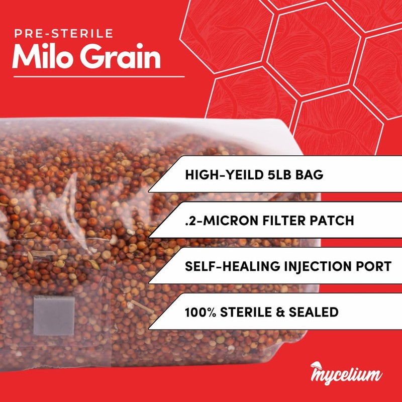Mycelium 5 lb Milo Grain Spawn for Mushroom Cultivation |