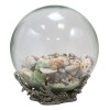 Nautical Marine Sea Shells Glass Globe Ball On Silver Coral