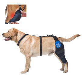 Dog ACL Brace Hind Leg, Hot/Cold Compress Dogs Knee Brace for Joint Pain, Knee Discomfort, Removable Gel Packs Pet Leg Brace, Rear Left Leg, L