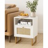 Apetaccat Rattan Nightstand, Boho Night Stand Farmhouse Wood Bedside Table