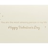 Papyrus Romantic Valentine's Day Card (Most Amazing Person)