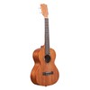 Kala Brand Music Co., 4-String Ukulele, Natural, Tenor (KA-15T-BNDL)