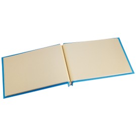 ナカバヤシ ファイル 外ビス式フリーアルバム テラコッタ A5 ブルー TER-A5F-120-B