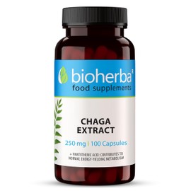 Chaga Mushroom Extract - 250 mg - 100 Capsules - Immune Support Brain Focus and Skin Health Supplement - Pure Chaga with Vitamin B5 for Daily Wellness by BIOHERBA
