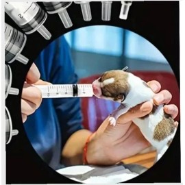 10 PCS  Bird Feeding 3ml /Hand Young Baby Bird/Animal Feeder-Refilla