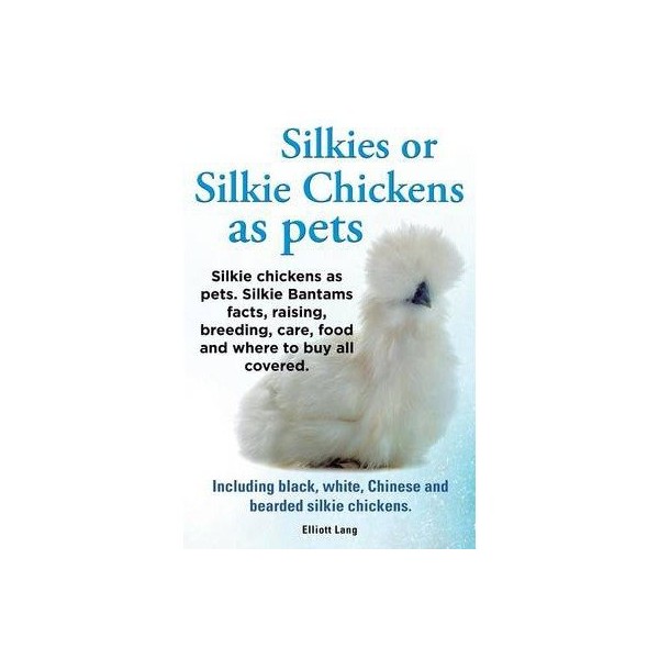 Silkies or Silkie Chickens as Pets. Silkie Bantams Facts, Raising,