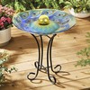 Hi-Line Gift 78415-F Solar Orb Peacock Glass Bird Bath with