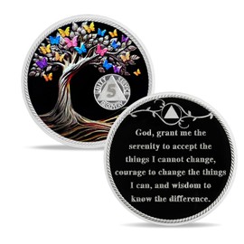 IELCJJ 5 Month Delicate Sobriety Coin, Recovery Colorful Butterfly Tree of Life Sobriety Chip AA NA Medallions Sober Token AA Coin Alcoholics Anonymous Recovery Gifts for Men Women
