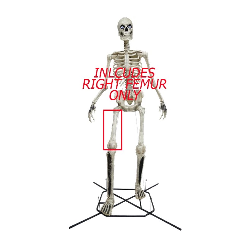 Home Depot 12ft Skeleton Replacement Bone RIGHT Femur Repair Parts