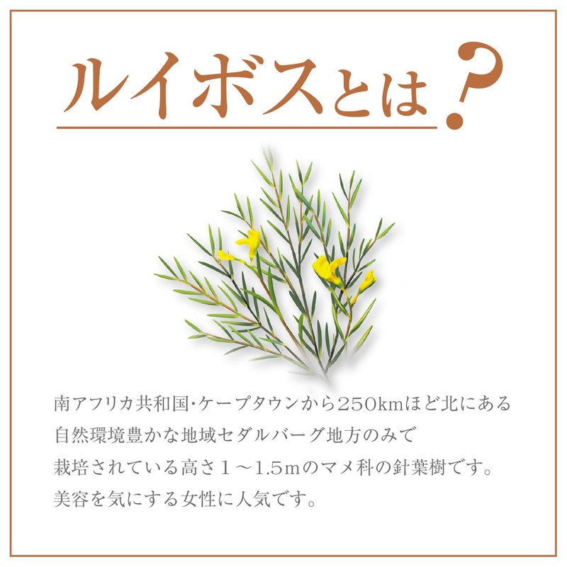 Orihiro Blend Rooibos Tea 0.1 oz (3 g) x 48