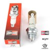 Champion CCH859 Spark Plug Replaces RCJ7Y/T04
