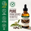 KUKKA essential oils Kukka Aceite De Clavo Para El Cuidado